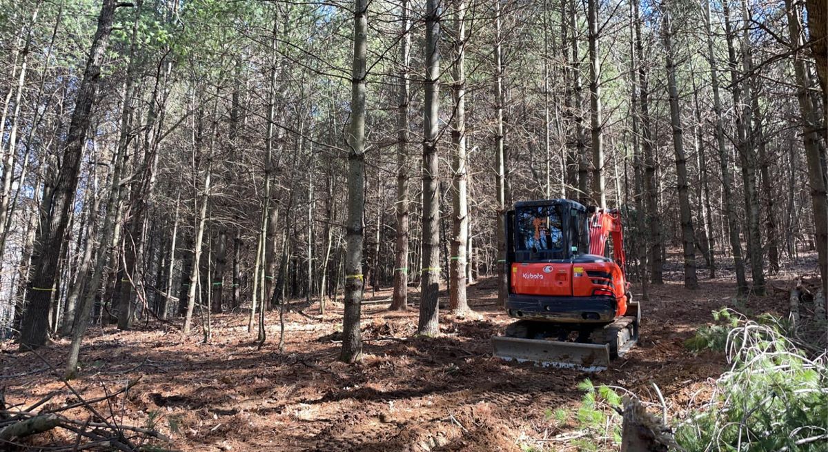 Tree Removal for Old South Grading in Glade Valley, NC