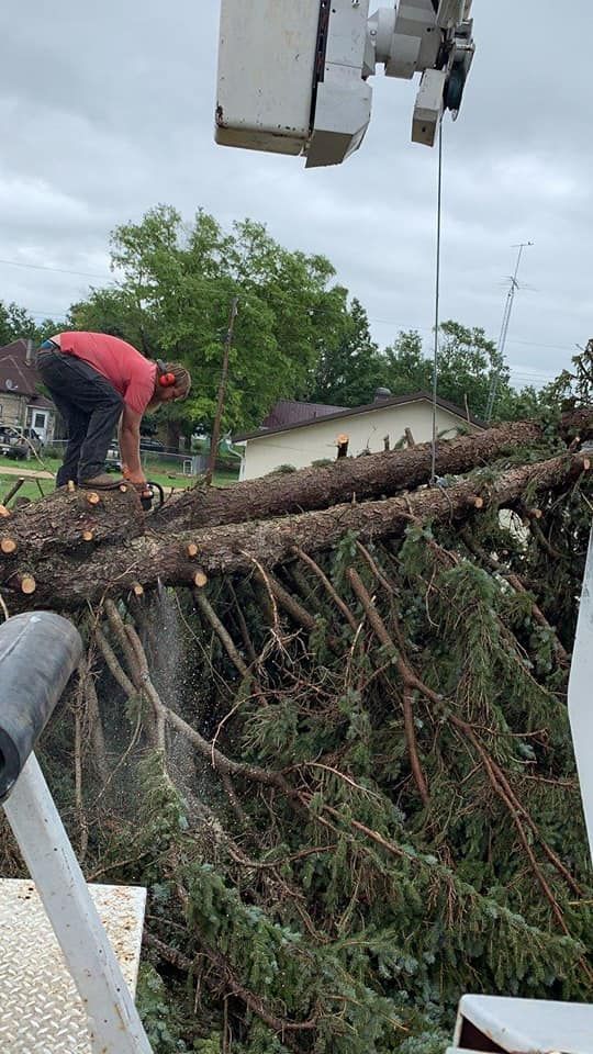 Tree Trimming for Uprooted LLC in Norfolk, NE