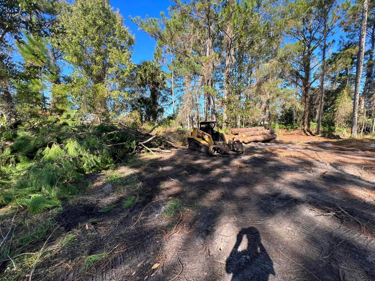 Tree Removal for CJ Dirtwork in Crescent City, FL