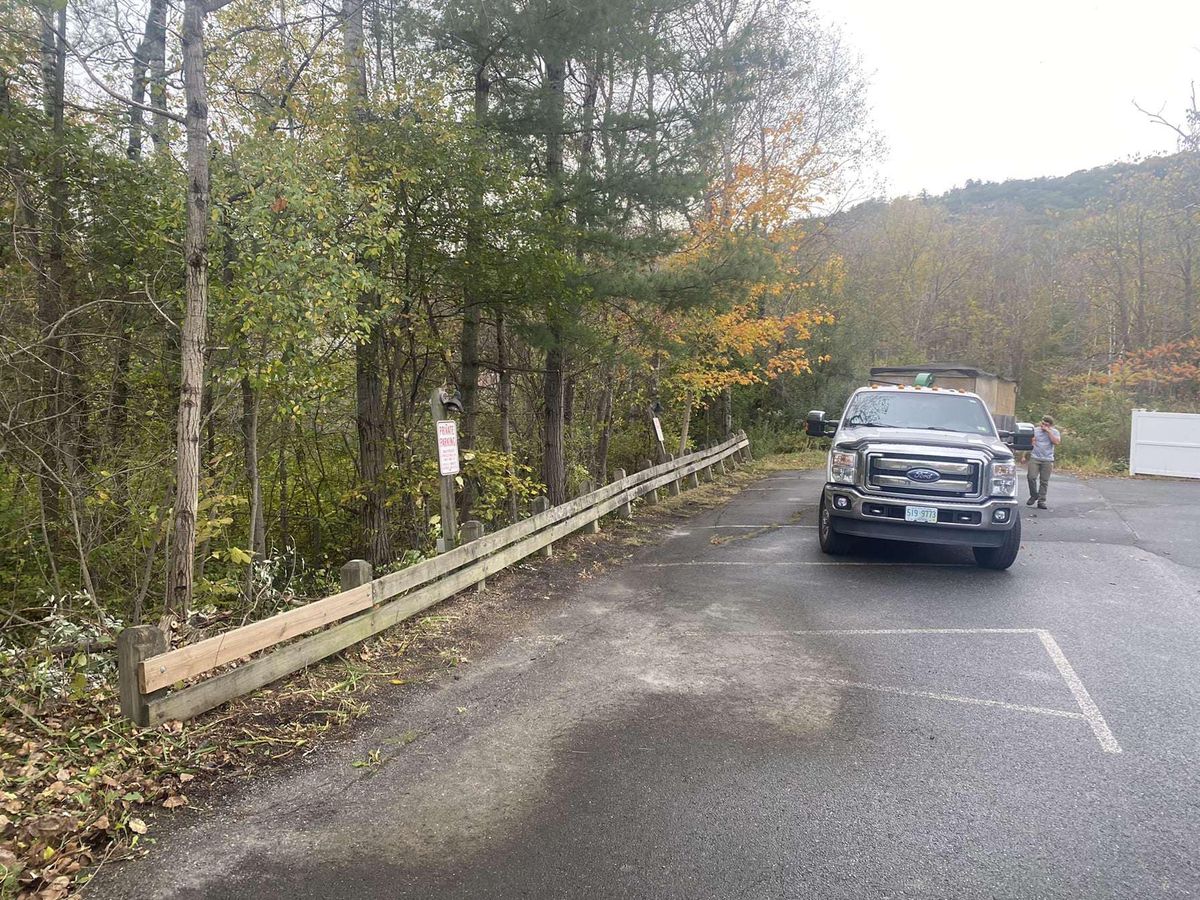 Tree Pruning and Trimming for Thomas Clifford Property Services LLC in Enfield, NH