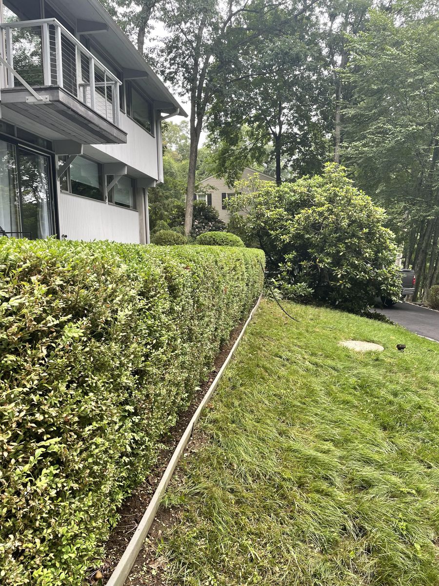Shrub and Hedge Trimming for CS Property Maintenance in Middlebury, CT