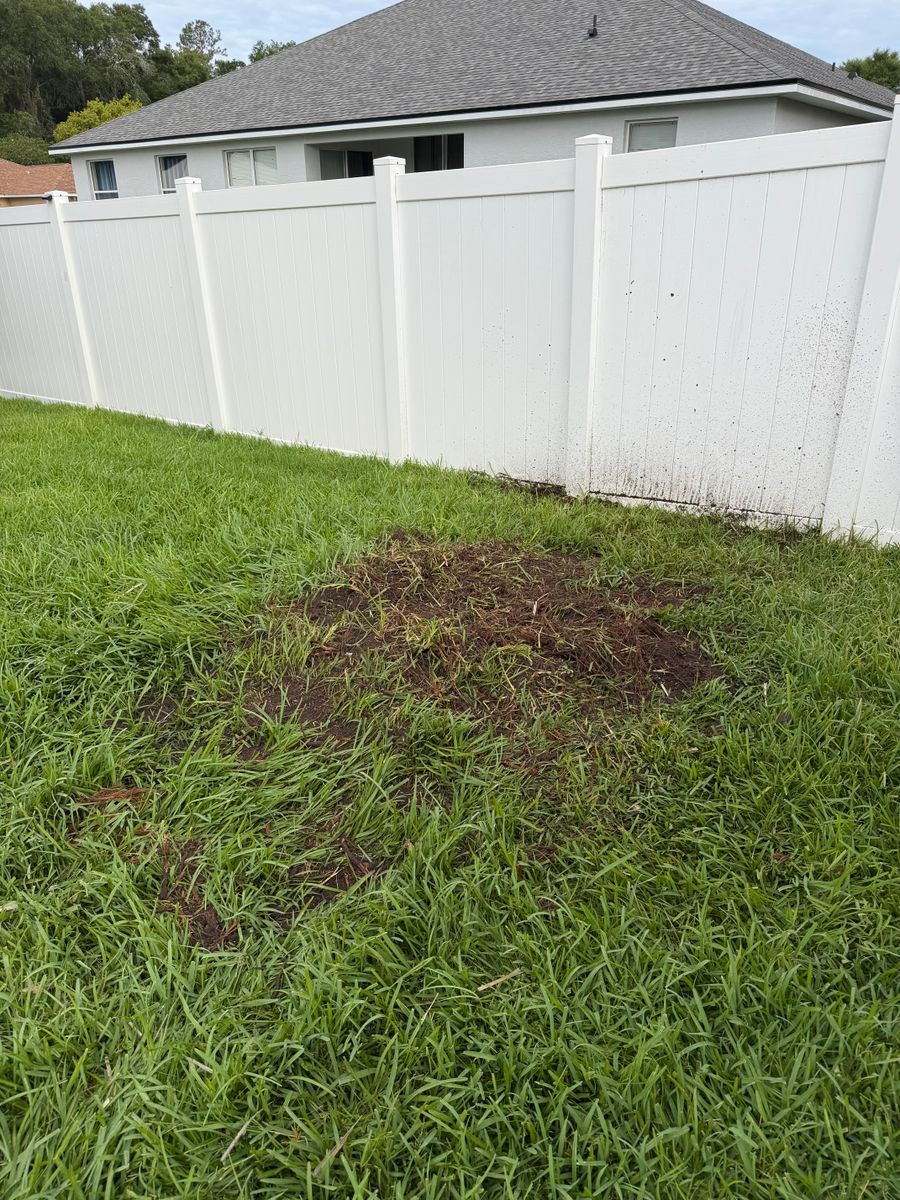 Stump Removal for Daniel Hickey’s Tree Service in DeLand, FL