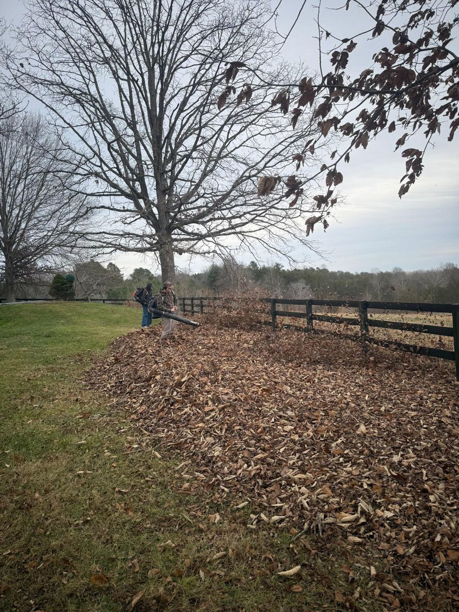 Property Maintenance for Chiles Lawn & Landscaping in Gordonsville, VA