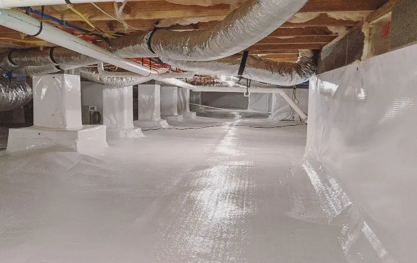 Crawl Space Maintenance for Premium Spray Foam & Insulation Services in Elgin,  TX