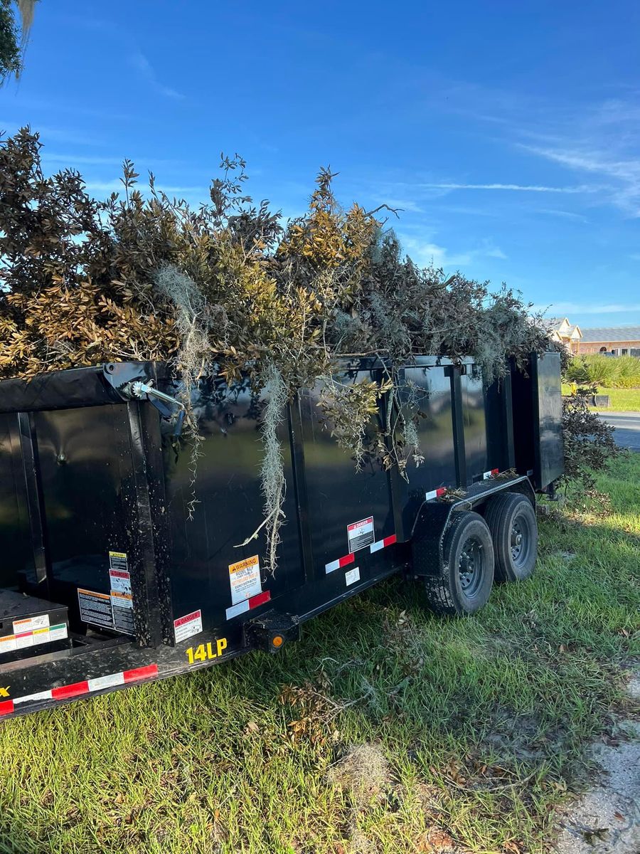 Tree service for Roberts Lawn & Landscape in Cross City, FL