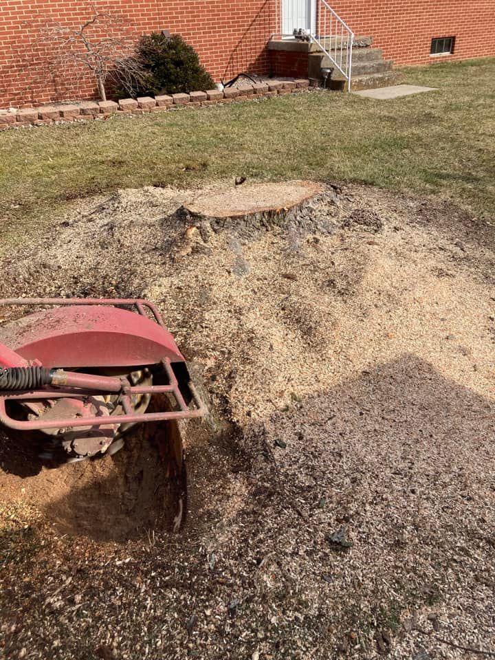 Stump Removal for SMITHs Tree Service in Columbus, IN