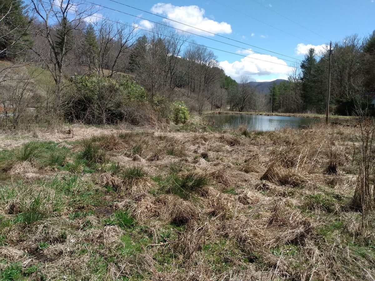 Septic Tank Installation for Quality Land Management and septic service in Green Mountain, NC