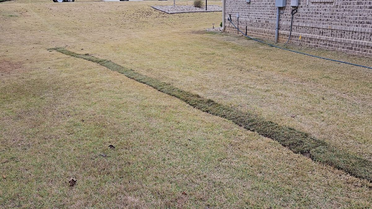 Sodding for Zepeda's Mowing in Fort Valley, GA