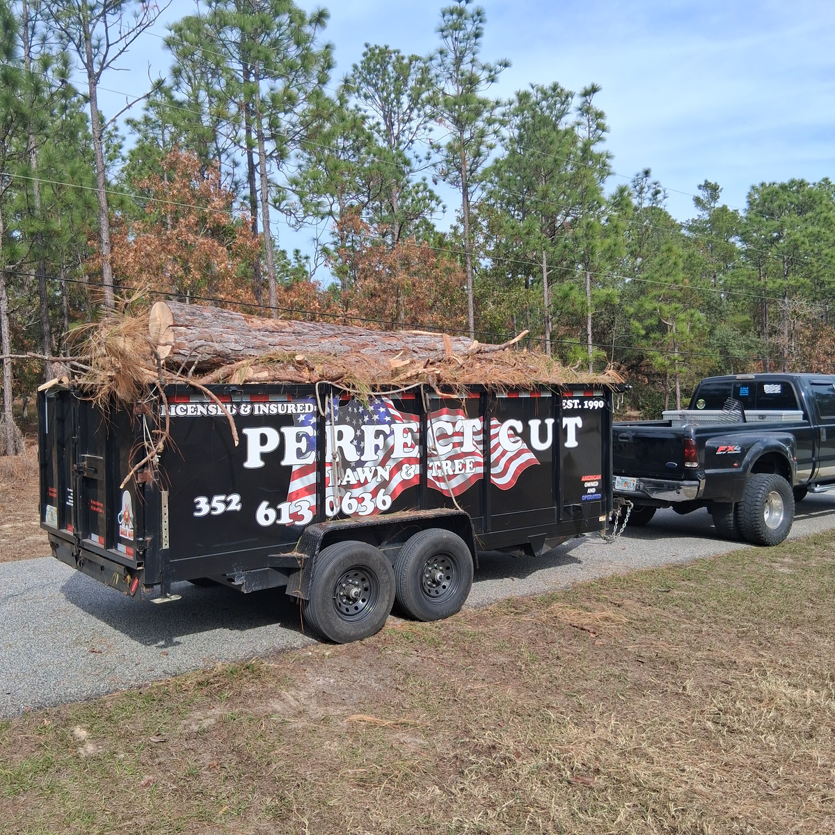 Tree Removal for Perfect Cut Lawn & Tree Care in Citrus County, FL