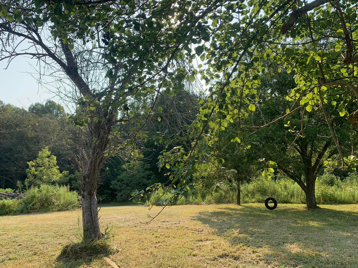 Brush Mowing for AJ Miles in Siler City, NC
