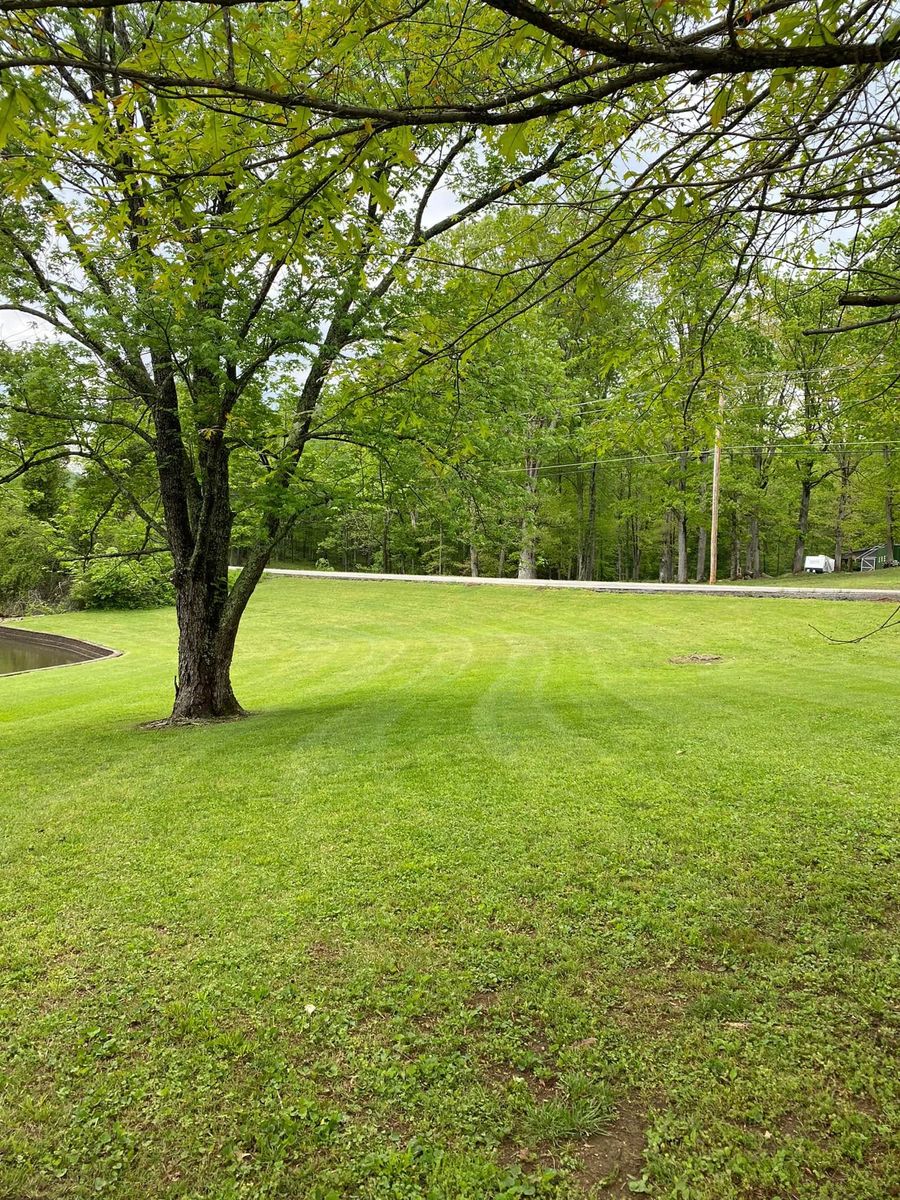 Lawn Maintenance for Leal’s Lawn Service in Dayton, TN