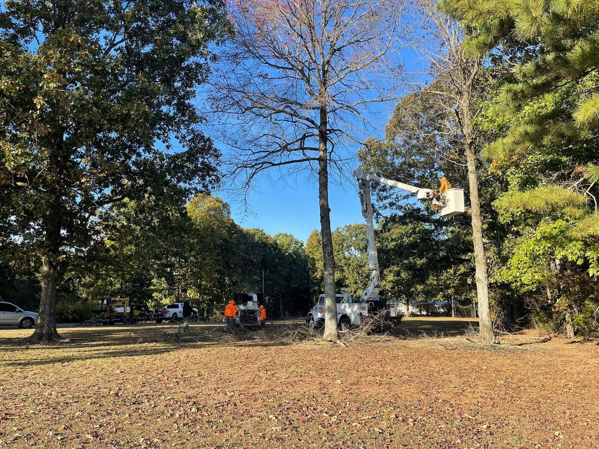 Tree Trimming for Ross Family Tree Service LLC  in Hohenwald, TN
