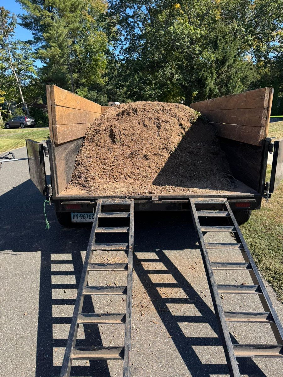 Stump Removal for Jills Stump Grinding and Firewood in Shelton, CT