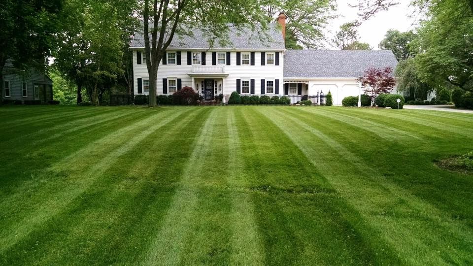 Mowing for Curb Impressions in Toledo,  OH