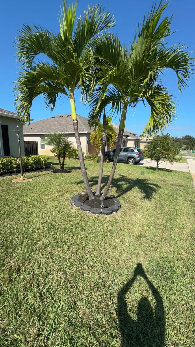 Tree Trimming for Space Coast Property Maintenance and Management LLC in Brevard County, FL