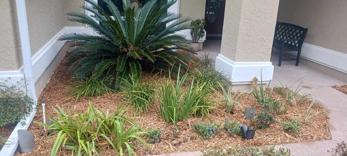 Fall Clean Up for O'Donnell Tree and Handyman Services in Pine Ridge, FL