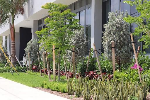 Landscaping for Arazoza Brothers Corporation in Miami, FL