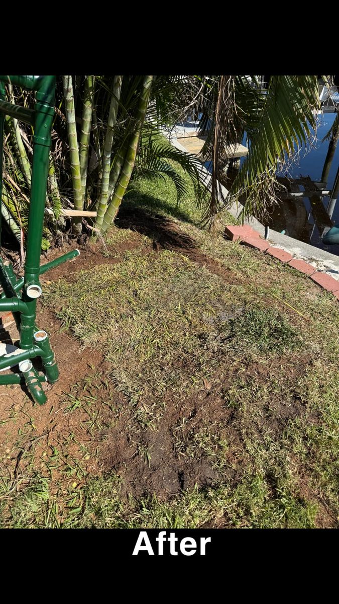 Lawn Maintenance for Rize N’ Grind  in Punta Gorda, FL