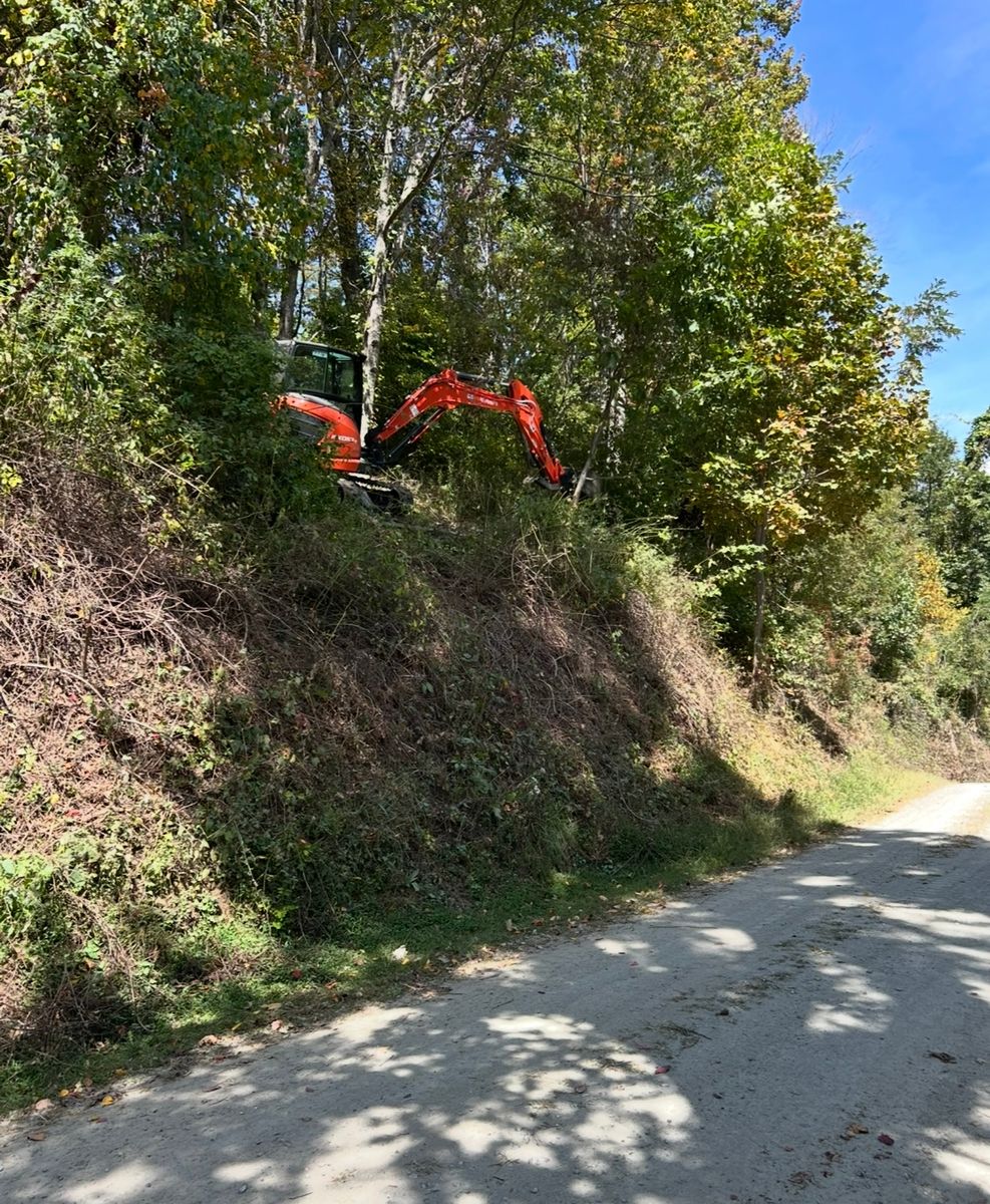 Tree Removal for Old South Grading in Glade Valley, NC