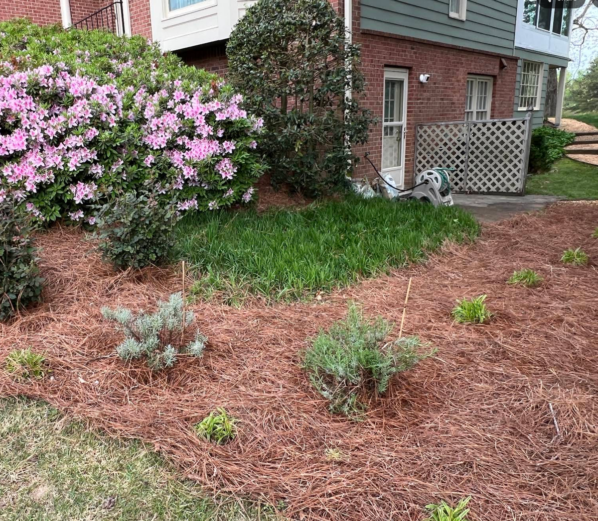 Landscape Design for Amerigreen Lawn & Landscape in Duluth, GA