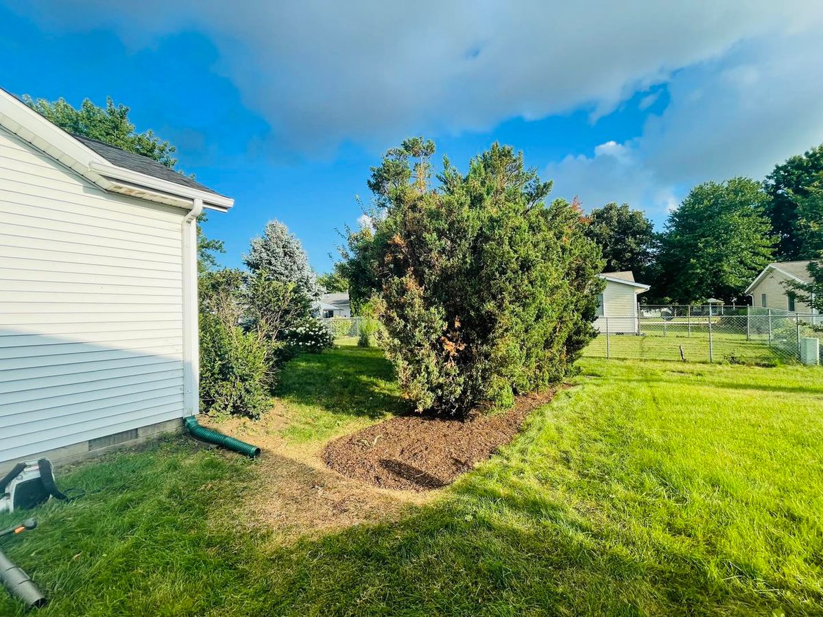 Stump Removal for Manny's Cleaning,Lawn Care & Snow Removal Services in Champaign, IL