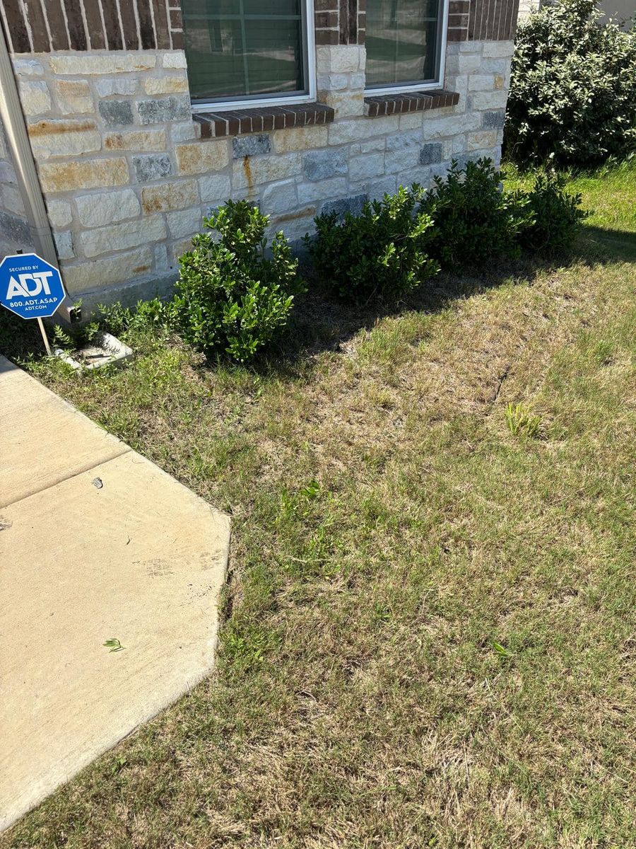 Edging for Pina Landscaping in Austin, TX
