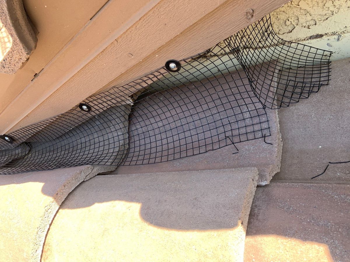 Bird Proofing for Olson & Sons Contracting in Mesa, AZ