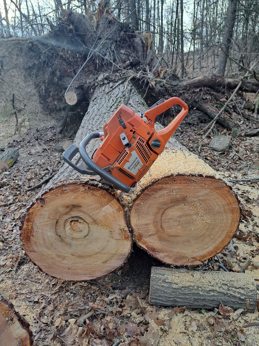 Tree Removal for Beckenbaugh Tree & Lawn Service in Lewistown, PA