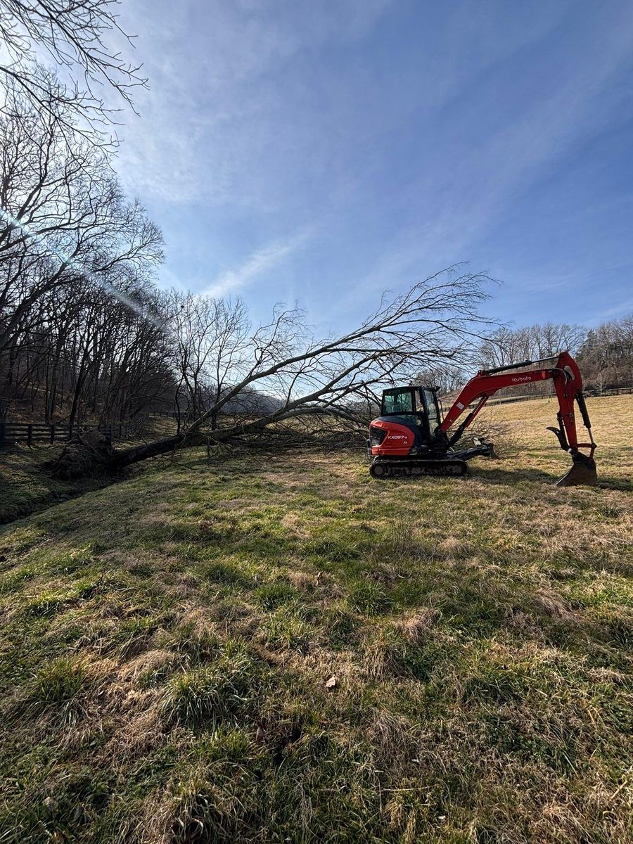 Forestry Mulching for TD Dirtworks in Tracy City, TN
