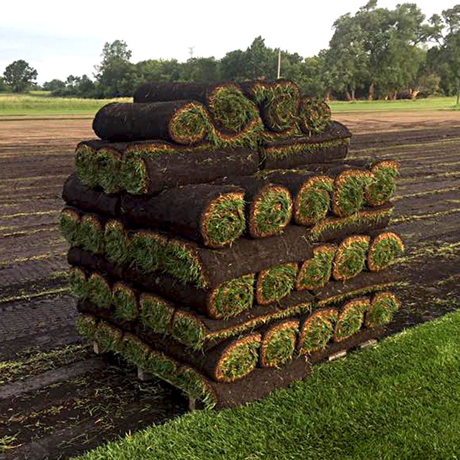 Sodding for Cromlish Cuts  in Springfield, OH 