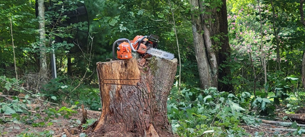Tree Removal for Fowler's Tree Service LLC. in New Albany, PA