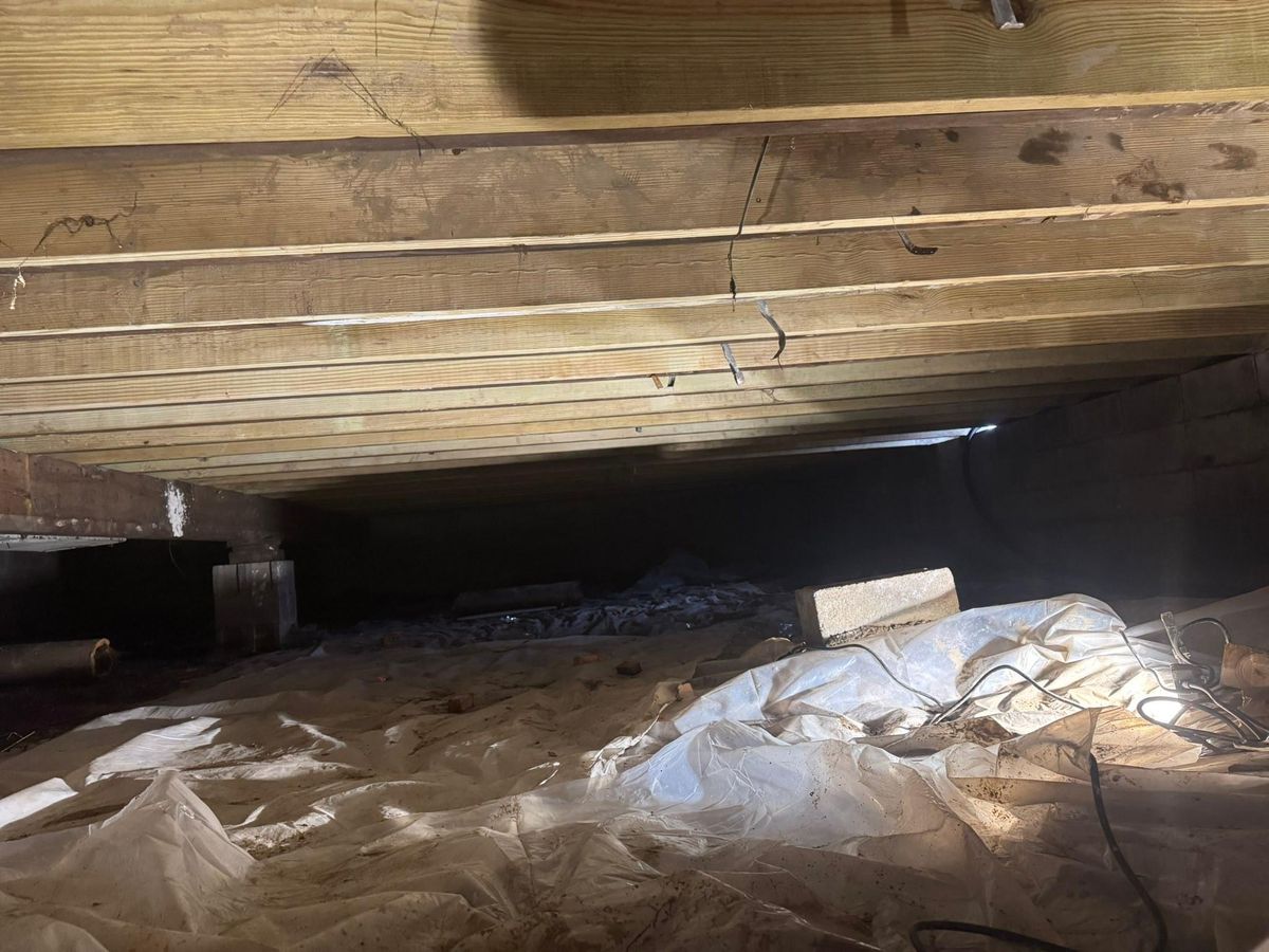 Crawlspace Encapsulation for The Guys Landscaping & Foundation Repairs LLC in Trenton, MI