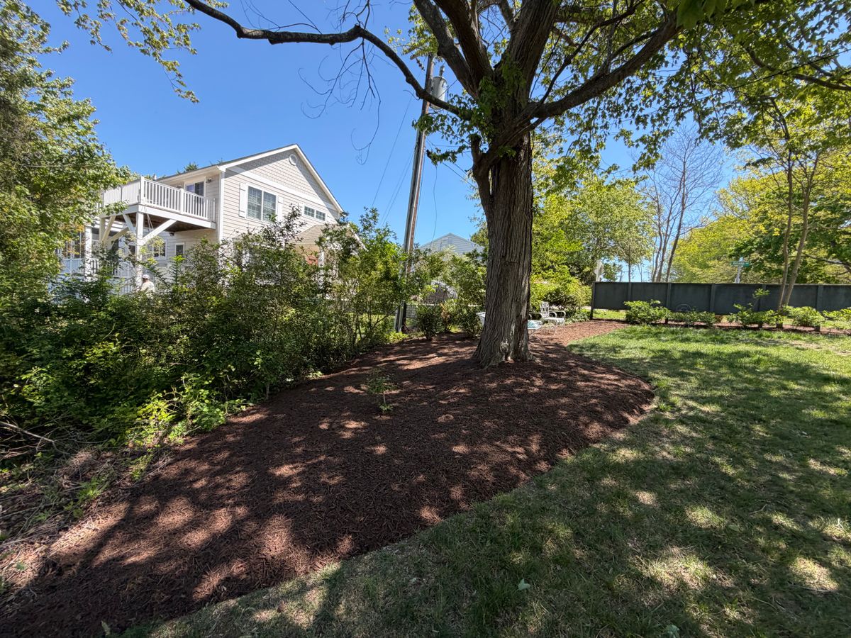 Mulching for Lawn pro services in Georgetown, DE