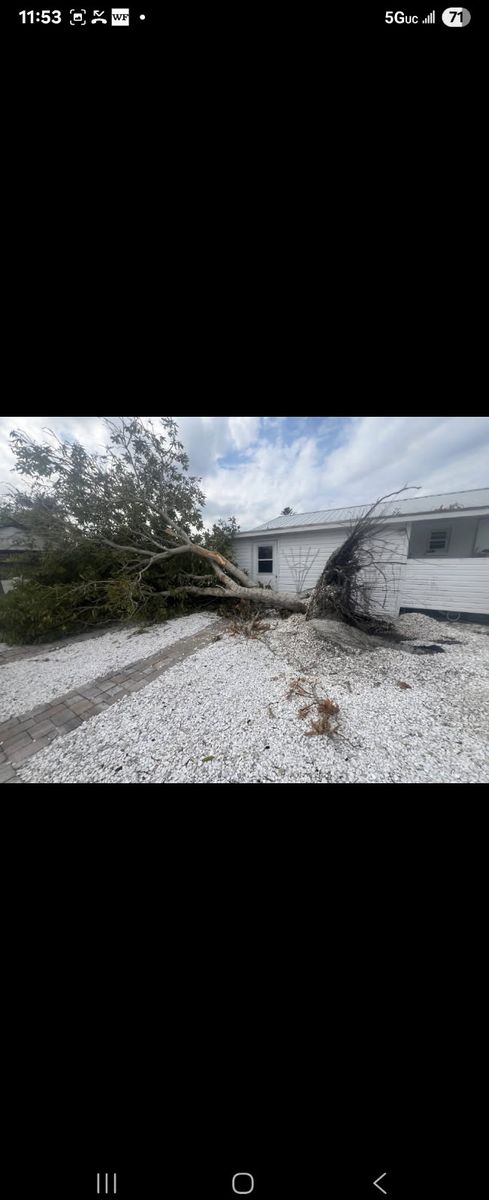 Immediate Response Tree work for storm damage for TREE BOYS in Ruskin, FL