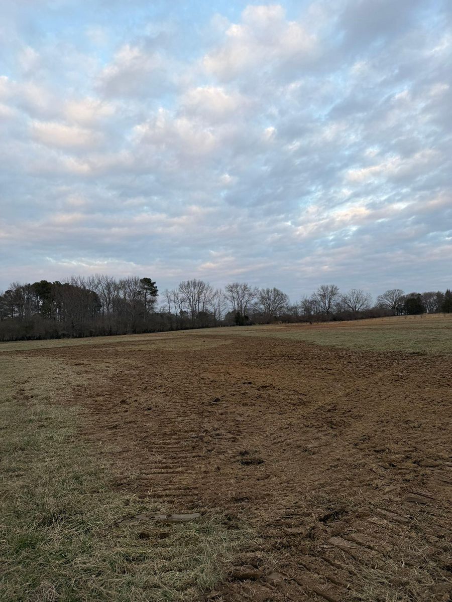 Land Clearing for Collins Constructors in Fyffe, AL