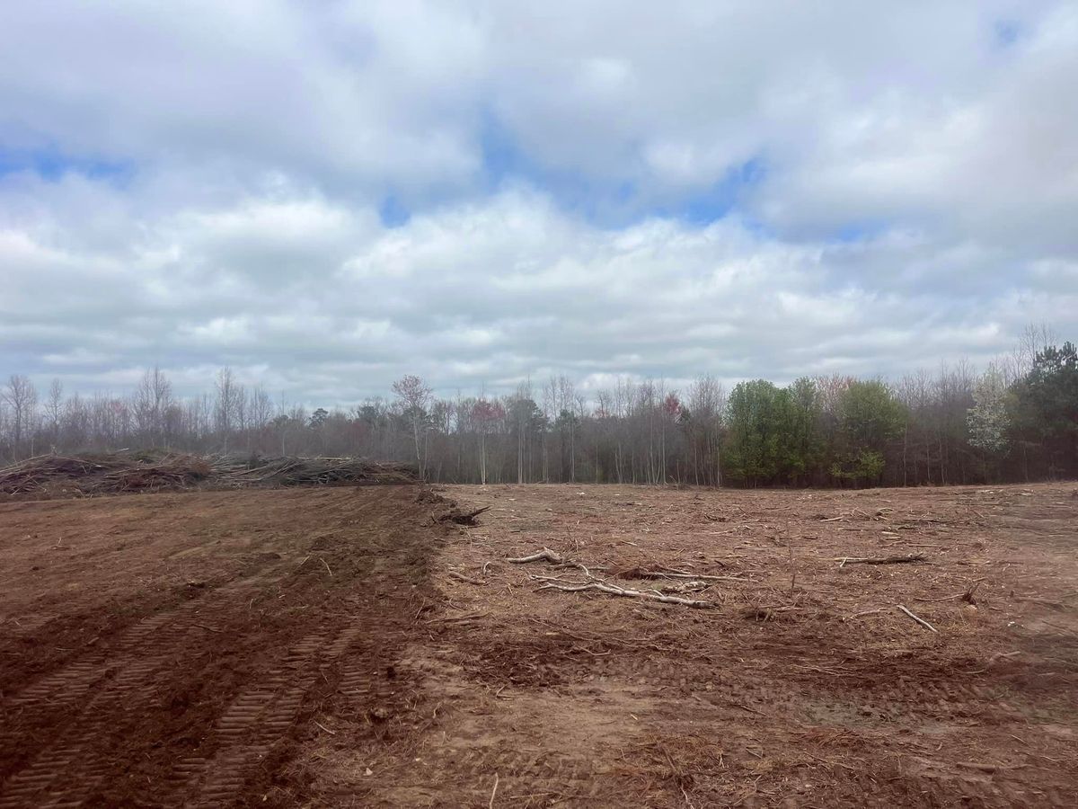 Land Clearing for Collins Constructors in Fyffe, AL