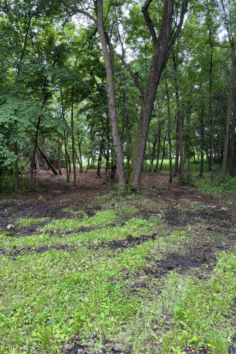 Underbrush Clearing for Root Land Management in Watkins, MN