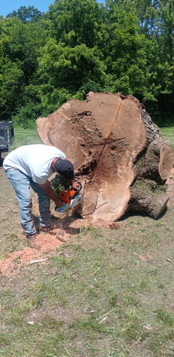 Tree Removal for Lawn Ranger Yard And Tree Service LLC in Ottumwa, IA