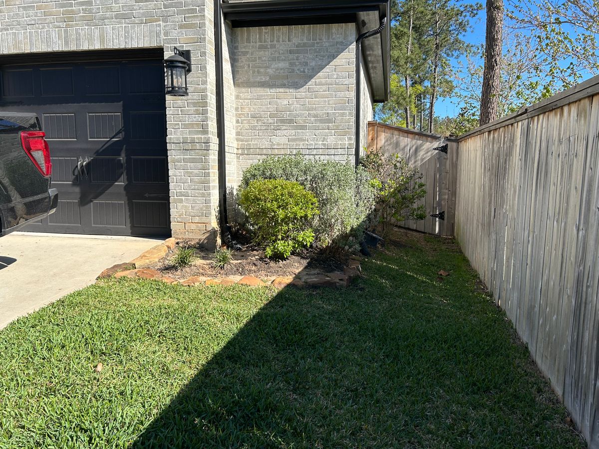 Tree & Shrub Care for Total Terrain Services in Montgomery, TX