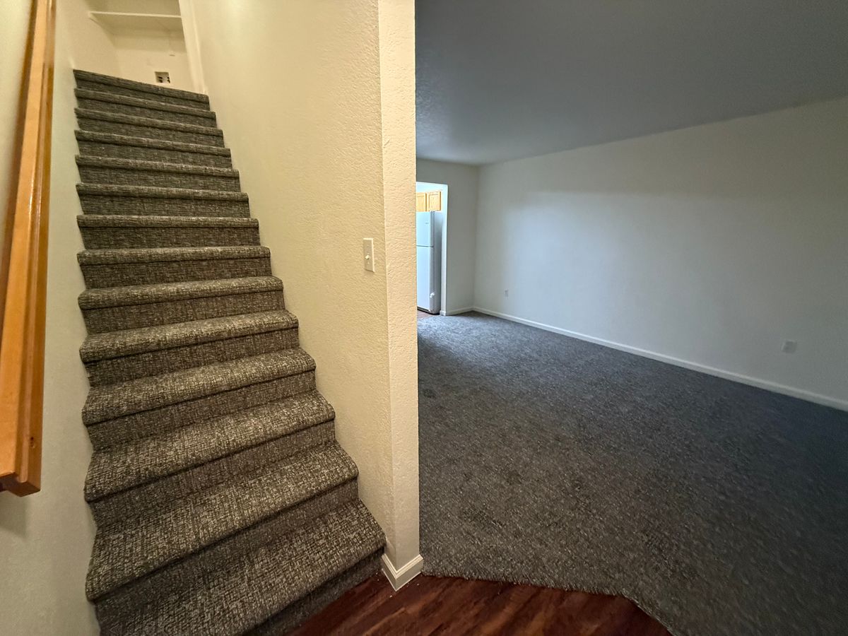 Floor Installation for Finest Carpeting and Flooring Installation in Denver, CO