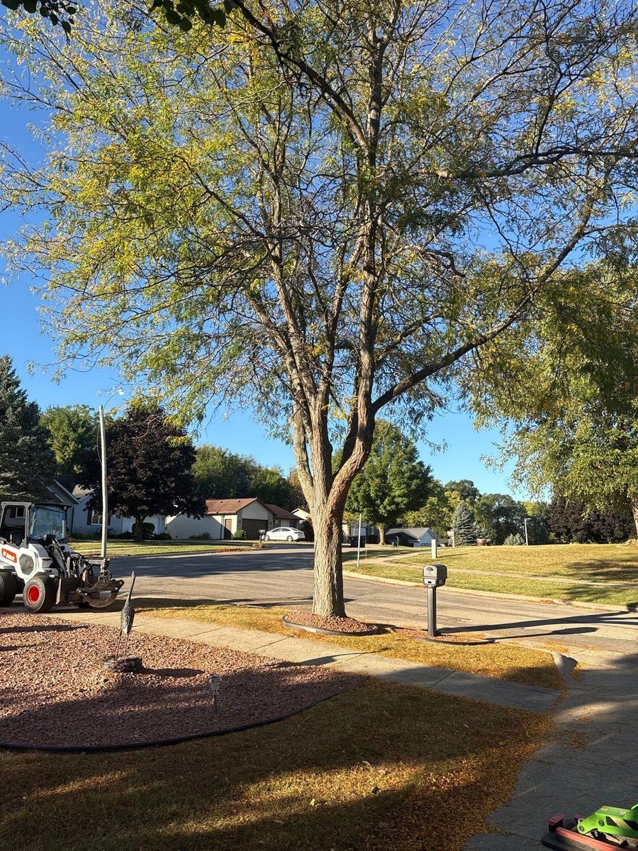 Fall Clean Up for Fransen's Tree Service  in Freeport, IL