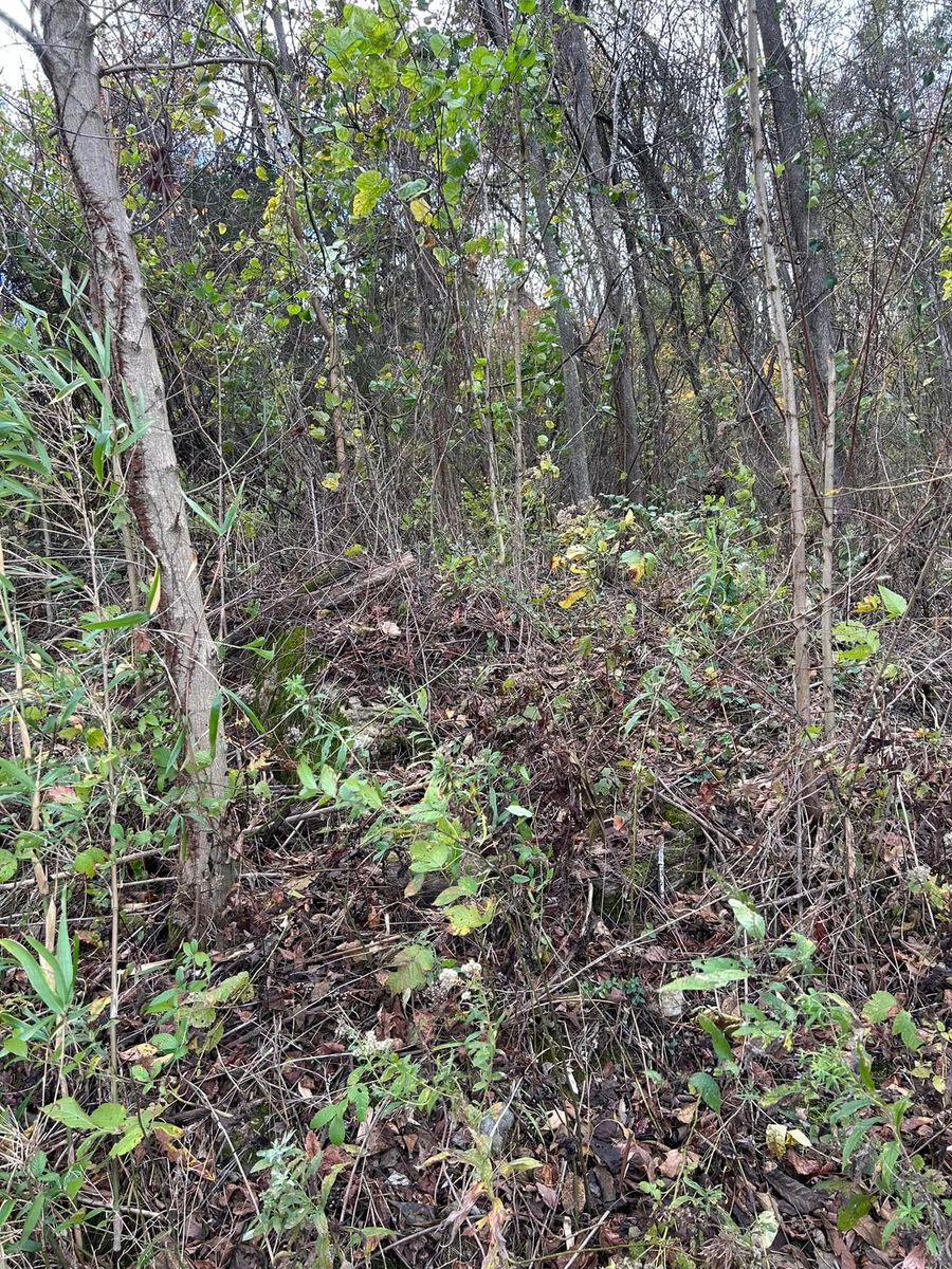 Debris Removal for F&M Independent Contractors in Murfreesboro, TN