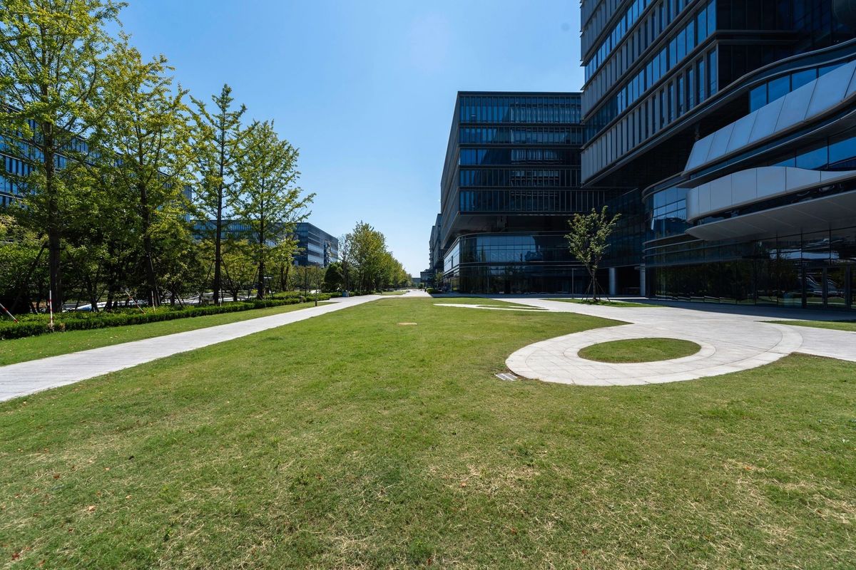 Commercial Lawn Care for D’s Lawncare in Killeen, TX