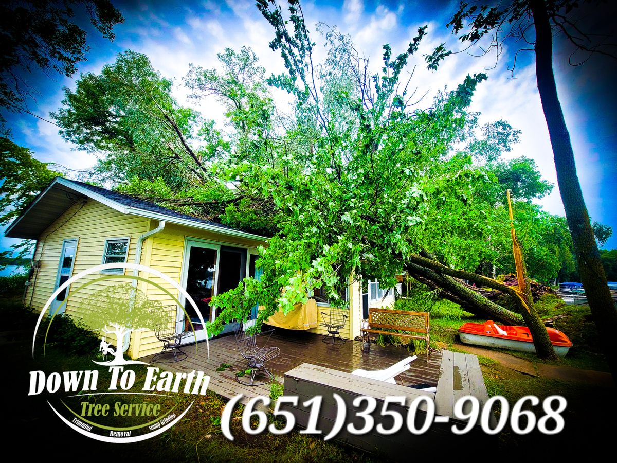 24-7 Emergency Tree Removal for Down To Earth Tree Service in Red Wing,  Minnesota