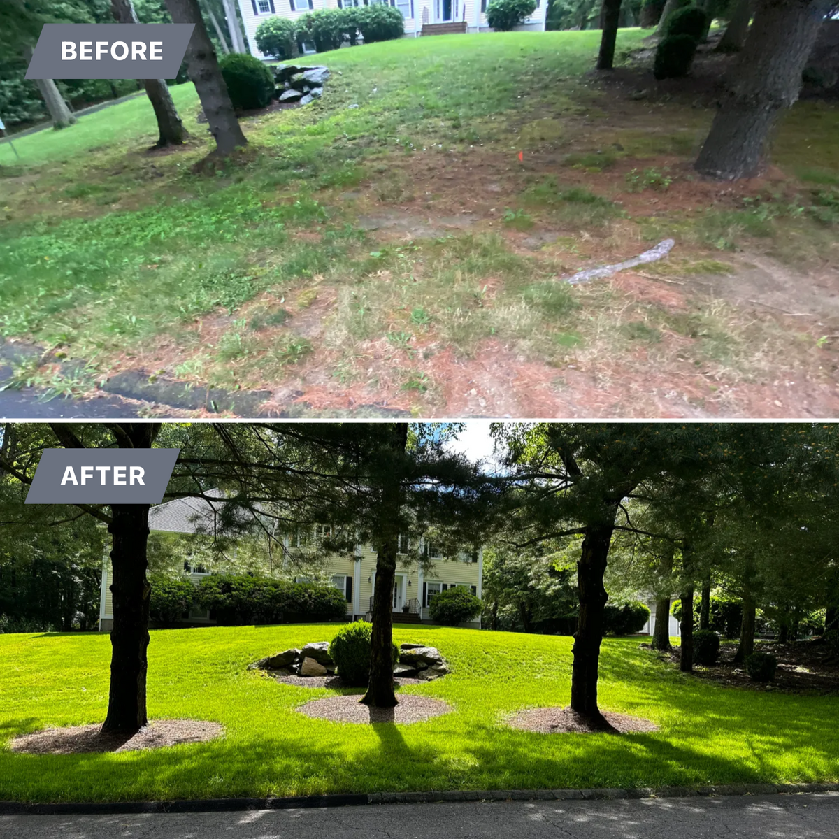 Turf Management for Ace Landscaping in Trumbull, CT