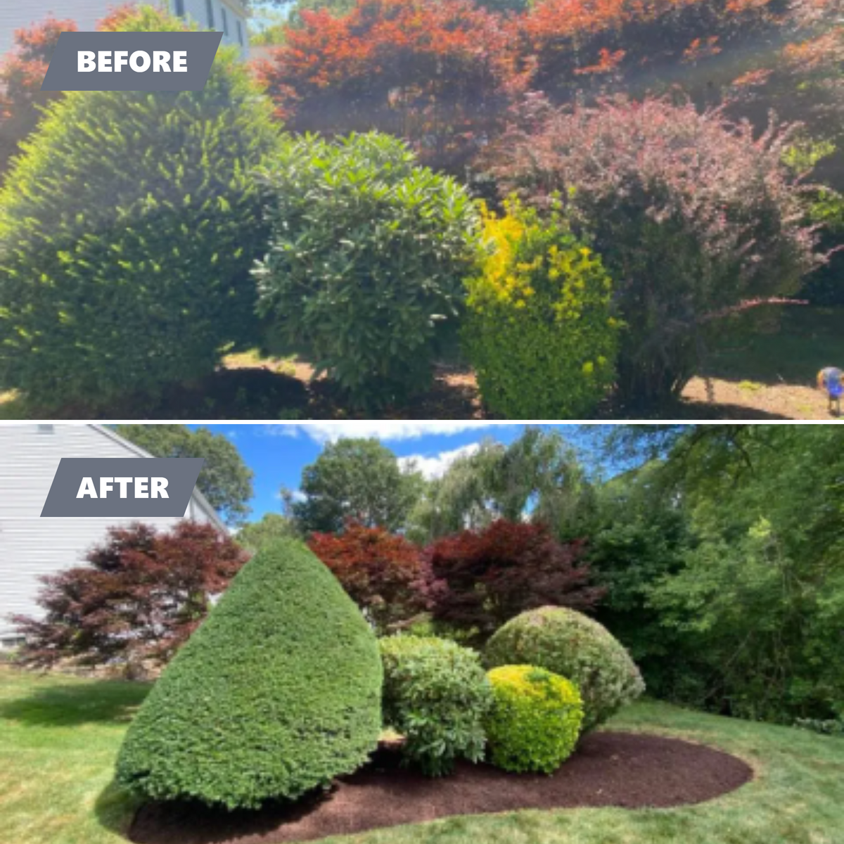 Tree & Shrub Care for Stevenson Property Maintenance in Cheshire, CT