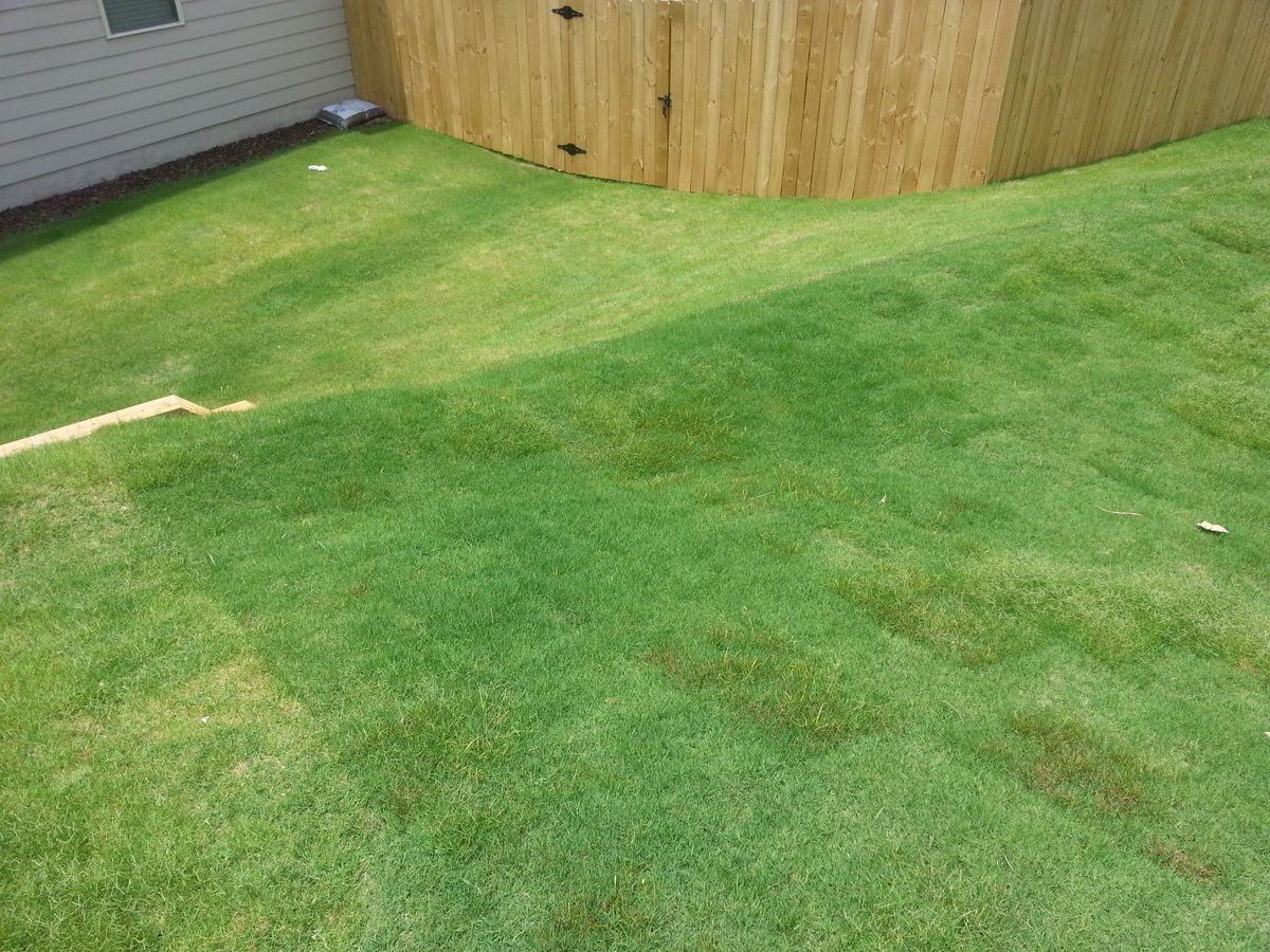 Sod Installation for Terra Bites Lawn Service in Jefferson, GA