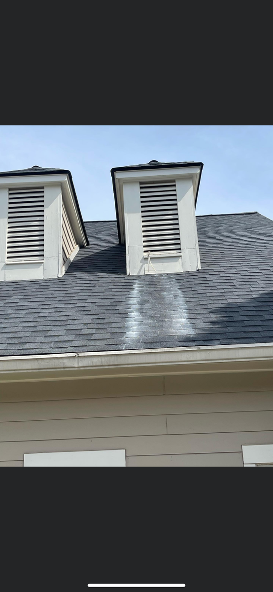 Roof Cleaning for A Clear View Window Cleaning & Pressure Washing  in Buford, Georgia