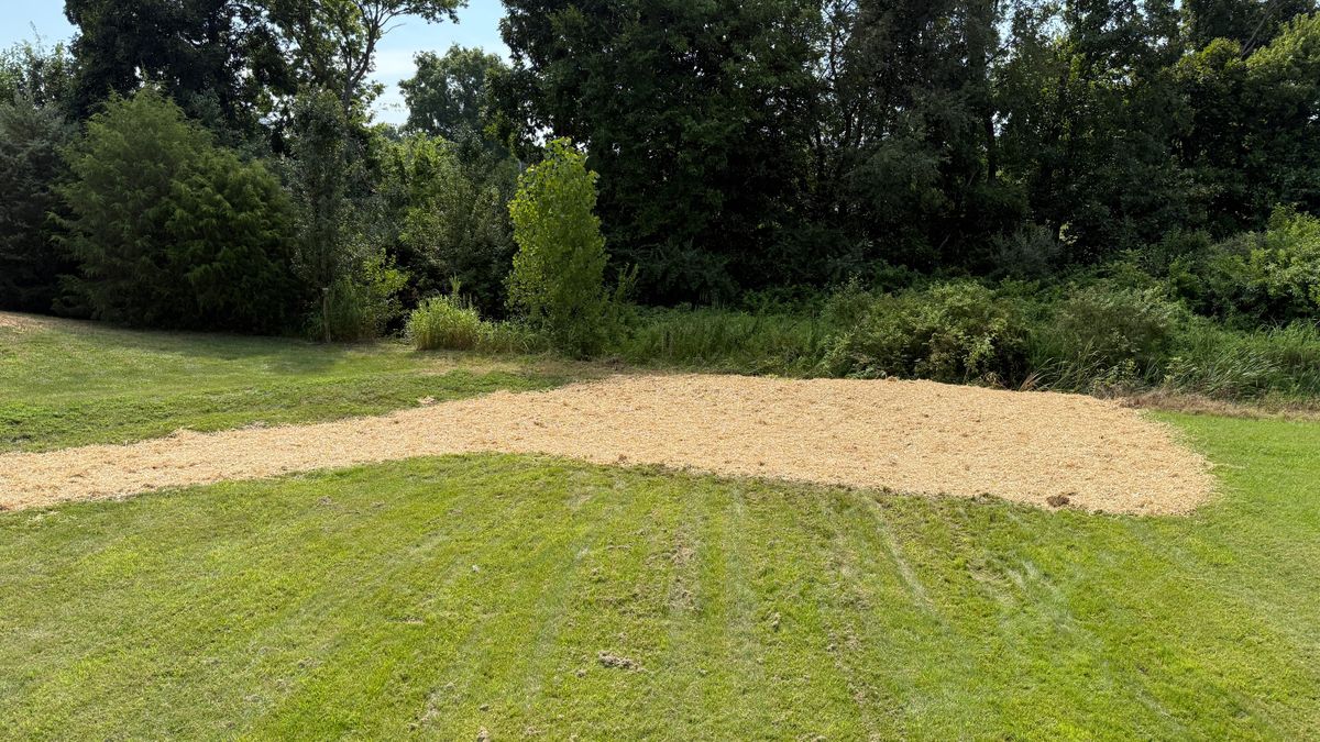 Sod and Seeding for Nicholson Lawn Care in Jeffersonville, IN