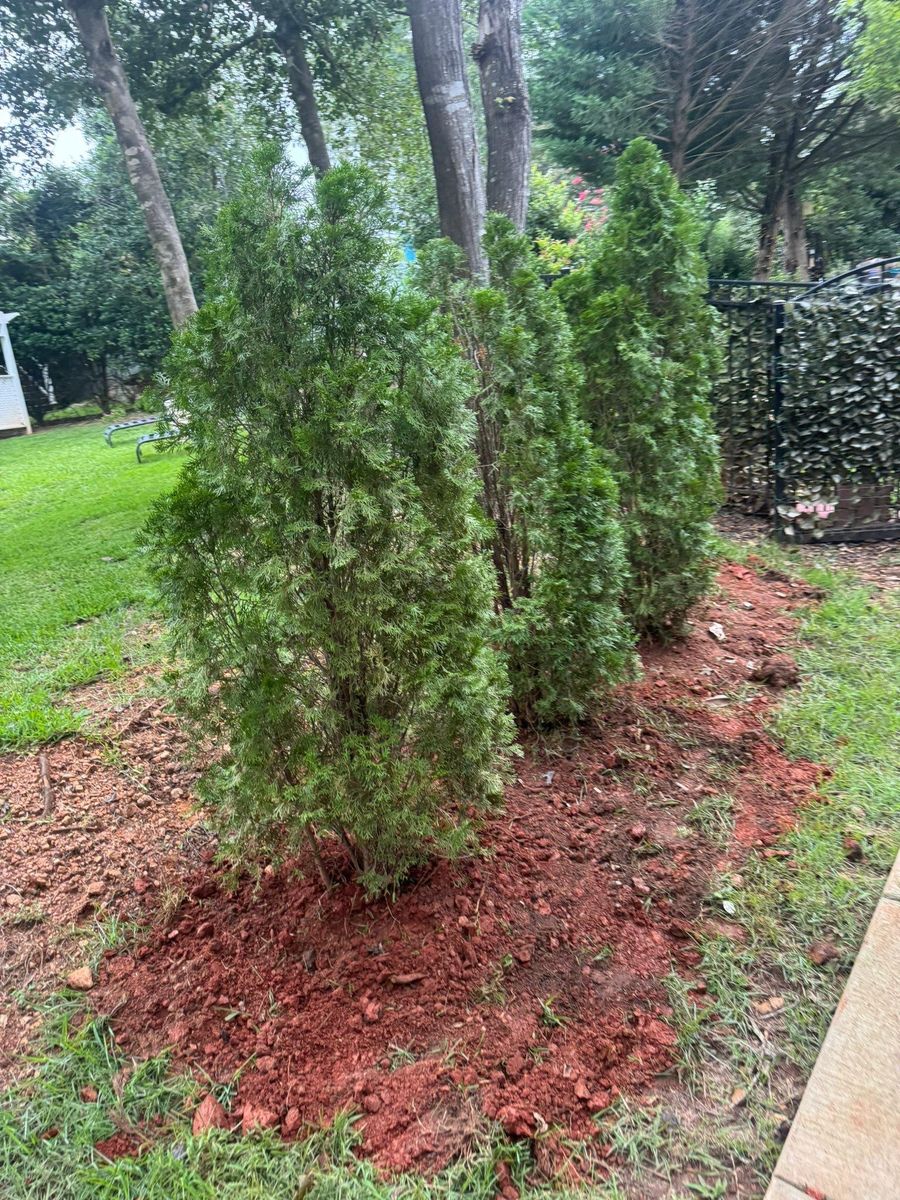 Landscape Installation for Trophy Outdoor Solutions in Lexington, SC